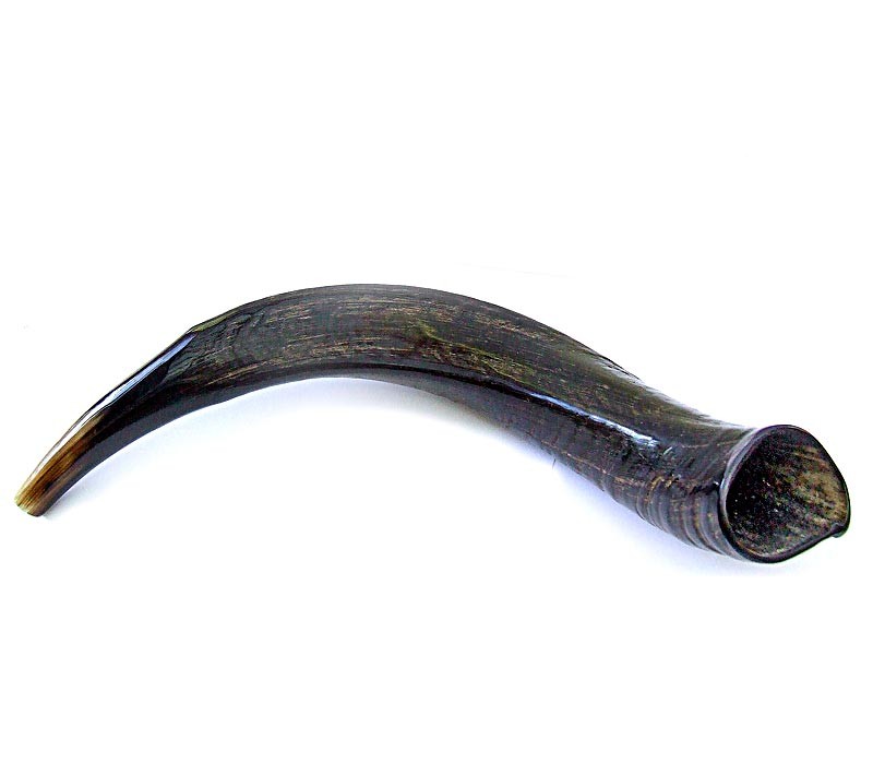 Shofar | 15 inches
