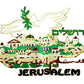 City of Jerusalem  T- shirt