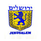 Symbol of the city Jerusalem -  T- shirt