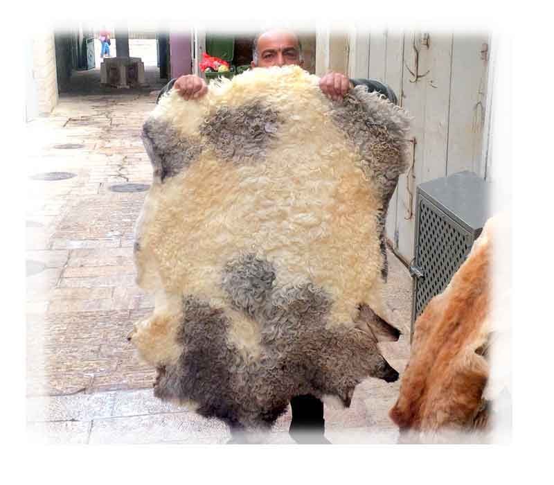 Large Sheep fur | Natural