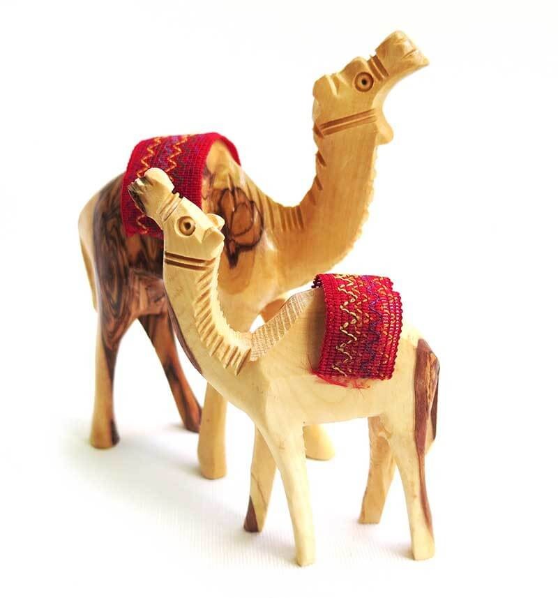 A pair of camels